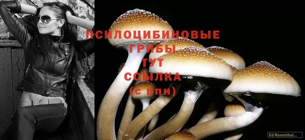 первитин Абаза