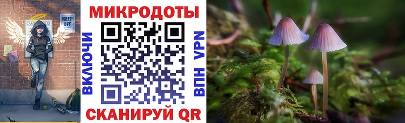 Псилоцибиновые грибы Psilocybe  Грязи 